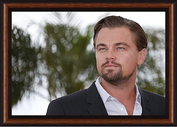 Картина в раме - Леонардо Ди Каприо. Leonardo DiCaprio Картина в раме - Леонардо Ди Каприо. Leonardo DiCaprio