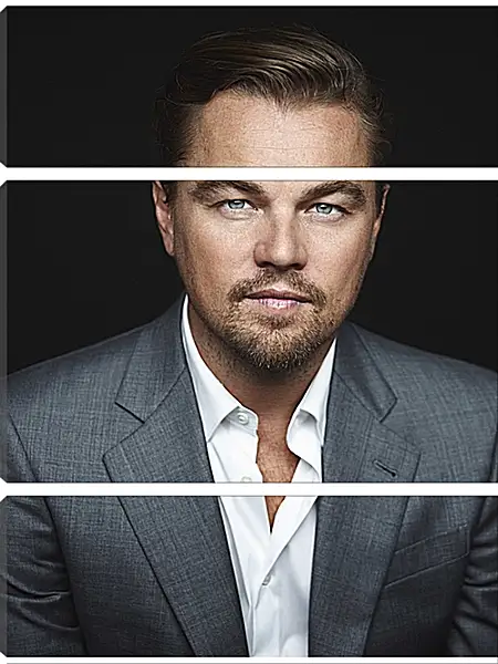 Модульная картина - Леонардо Ди Каприо. Leonardo DiCaprio Модульная картина - Леонардо Ди Каприо. Leonardo DiCaprio