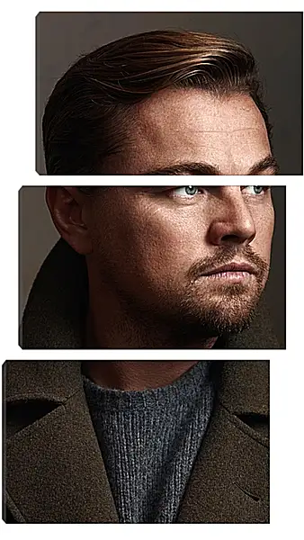 Модульная картина - Леонардо Ди Каприо. Leonardo DiCaprio Модульная картина - Леонардо Ди Каприо. Leonardo DiCaprio