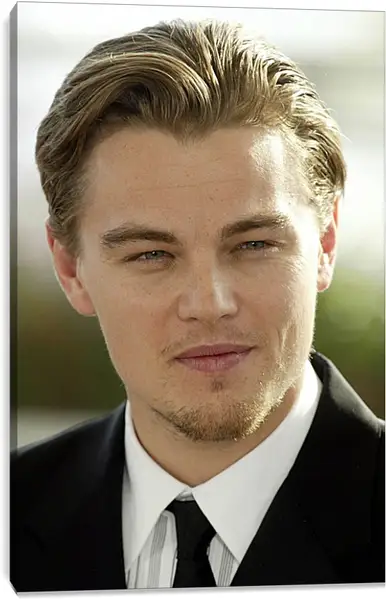 Постер на подрамнике - Леонардо Ди Каприо. Leonardo DiCaprio Постер на подрамнике - Леонардо Ди Каприо. Leonardo DiCaprio