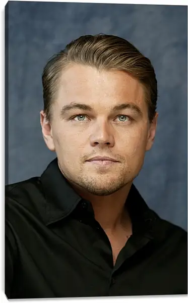 Постер на подрамнике - Леонардо Ди Каприо. Leonardo DiCaprio Постер на подрамнике - Леонардо Ди Каприо. Leonardo DiCaprio