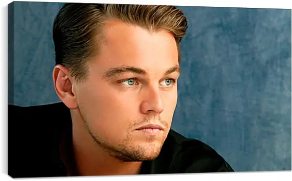 Постер на подрамнике - Леонардо Ди Каприо. Leonardo DiCaprio Постер на подрамнике - Леонардо Ди Каприо. Leonardo DiCaprio