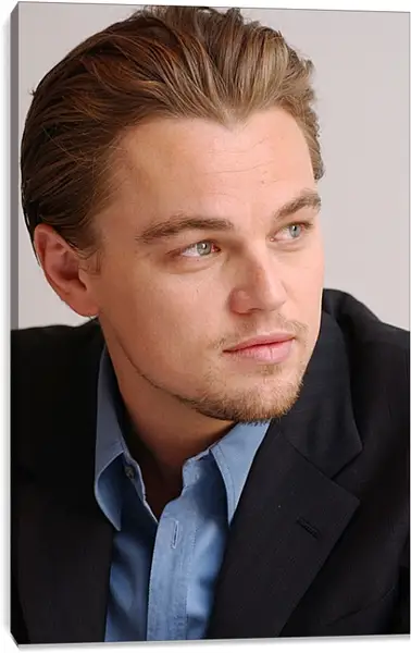 Постер на подрамнике - Леонардо Ди Каприо. Leonardo DiCaprio Постер на подрамнике - Леонардо Ди Каприо. Leonardo DiCaprio