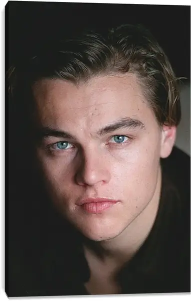 Постер на подрамнике - Леонардо Ди Каприо. Leonardo DiCaprio Постер на подрамнике - Леонардо Ди Каприо. Leonardo DiCaprio