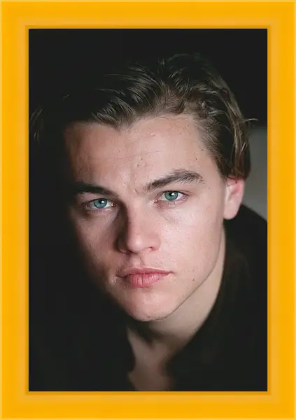 Картина в раме - Леонардо Ди Каприо. Leonardo DiCaprio Картина в раме - Леонардо Ди Каприо. Leonardo DiCaprio