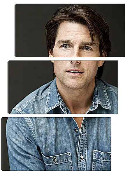 Модульная картина - Том Круз. Tom Cruise Модульная картина - Том Круз. Tom Cruise
