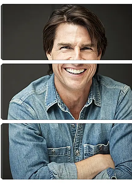 Модульная картина - Том Круз. Tom Cruise Модульная картина - Том Круз. Tom Cruise