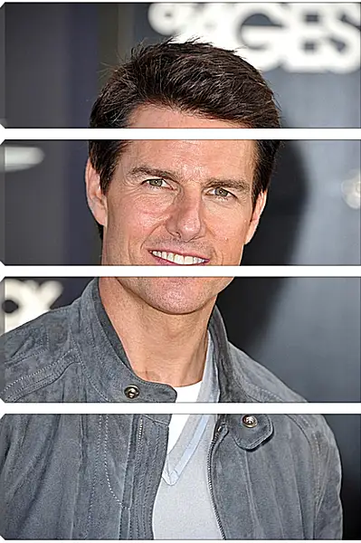 Модульная картина - Том Круз. Tom Cruise Модульная картина - Том Круз. Tom Cruise