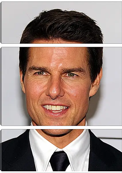 Модульная картина - Том Круз. Tom Cruise Модульная картина - Том Круз. Tom Cruise