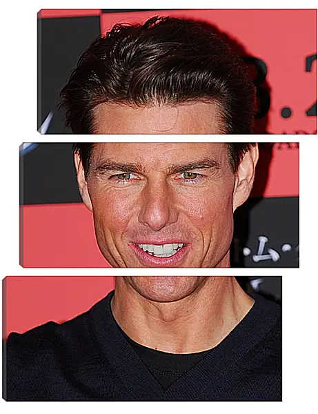 Модульная картина - Том Круз. Tom Cruise Модульная картина - Том Круз. Tom Cruise