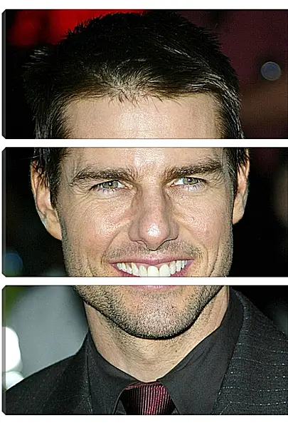 Модульная картина - Том Круз. Tom Cruise Модульная картина - Том Круз. Tom Cruise