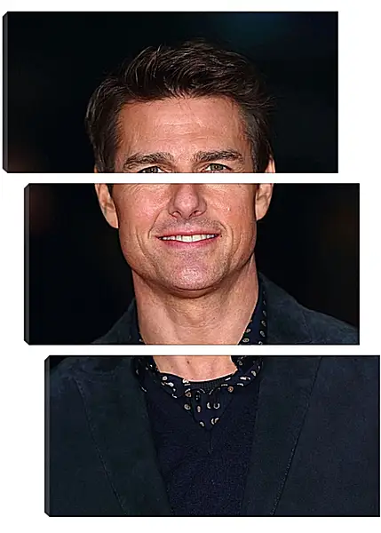 Модульная картина - Том Круз. Tom Cruise Модульная картина - Том Круз. Tom Cruise