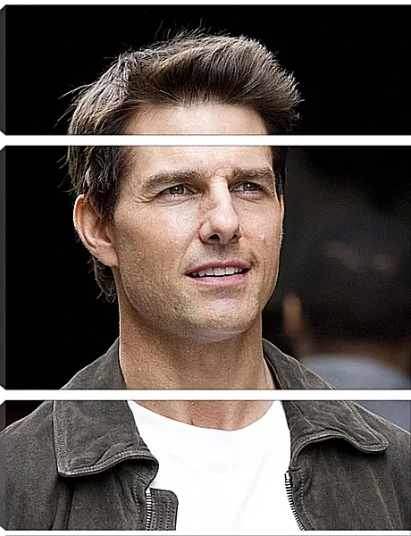 Модульная картина - Том Круз. Tom Cruise Модульная картина - Том Круз. Tom Cruise