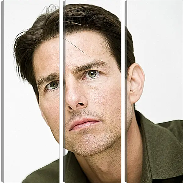 Модульная картина - Том Круз. Tom Cruise Модульная картина - Том Круз. Tom Cruise