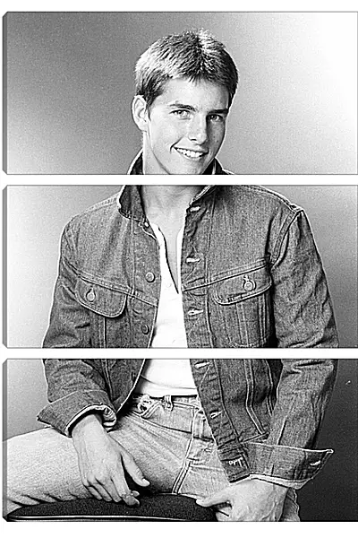 Модульная картина - Том Круз. Tom Cruise Модульная картина - Том Круз. Tom Cruise
