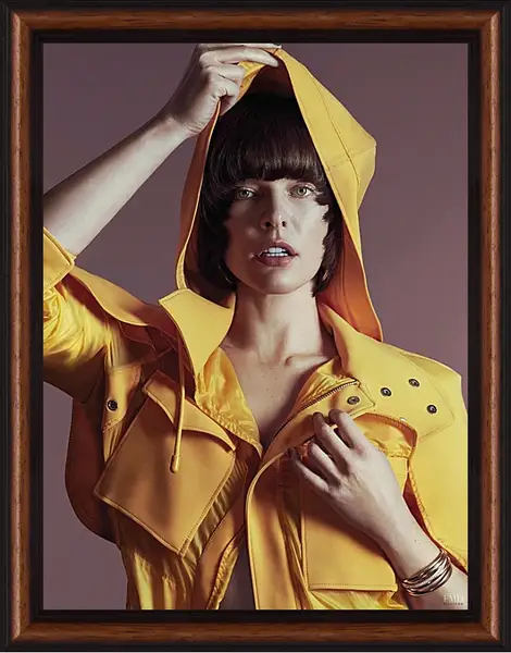 Картина в раме - Милла Йовович. Milla Jovovich Картина в раме - Милла Йовович. Milla Jovovich