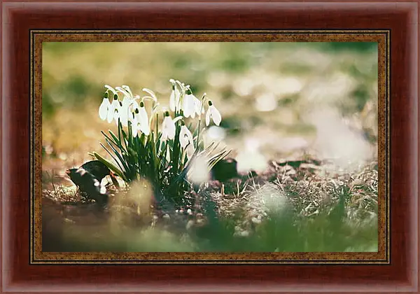 Картина в раме - Весна Картина в раме - Весна