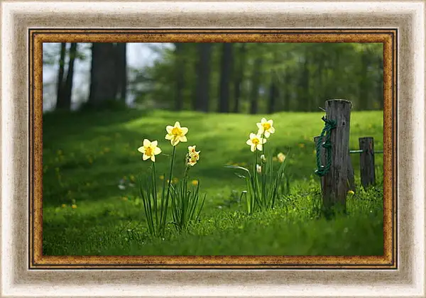 Картина в раме - Весна Картина в раме - Весна