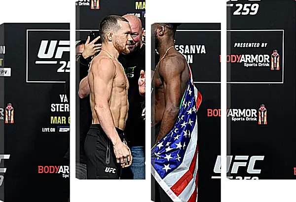 Модульная картина - UFC. MMA. Пётр Ян Модульная картина - UFC. MMA. Пётр Ян