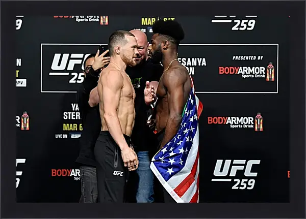 Картина в раме - UFC. MMA. Пётр Ян Картина в раме - UFC. MMA. Пётр Ян