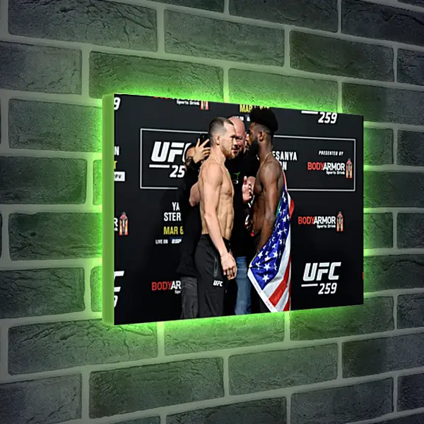 Лайтбокс световая панель - UFC. MMA. Пётр Ян Лайтбокс световая панель - UFC. MMA. Пётр Ян