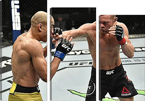 Модульная картина - UFC. MMA. Пётр Ян Модульная картина - UFC. MMA. Пётр Ян