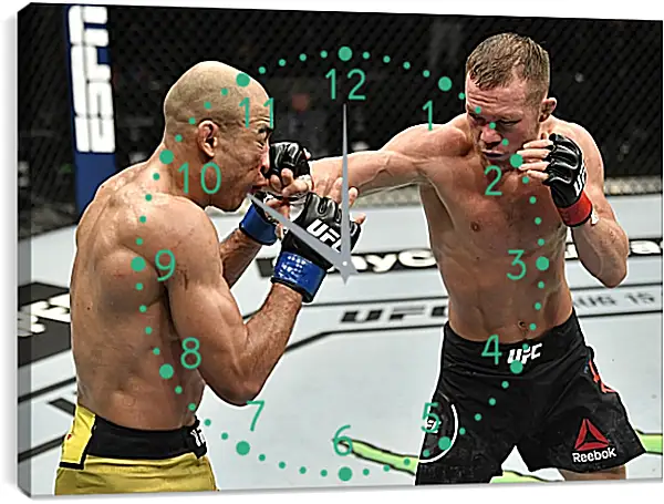 Часы картина - UFC. MMA. Пётр Ян Часы картина - UFC. MMA. Пётр Ян