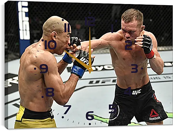 Часы картина - UFC. MMA. Пётр Ян Часы картина - UFC. MMA. Пётр Ян
