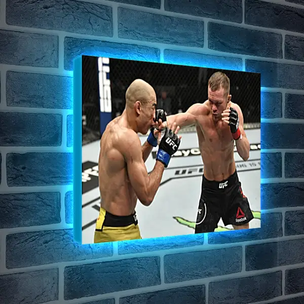 Лайтбокс световая панель - UFC. MMA. Пётр Ян Лайтбокс световая панель - UFC. MMA. Пётр Ян