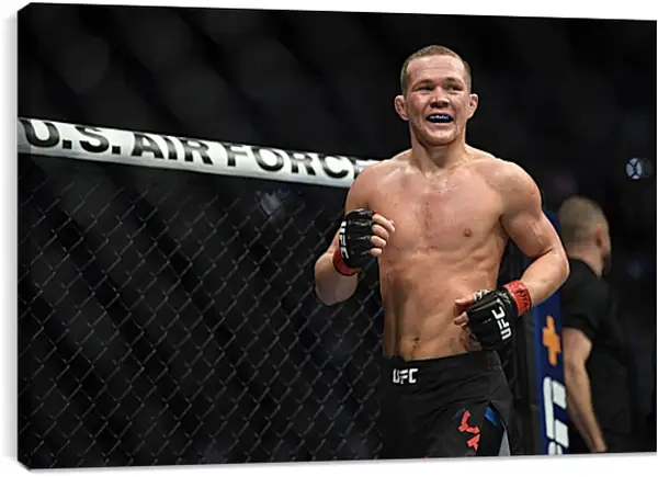 Постер на подрамнике - UFC. MMA. Пётр Ян Постер на подрамнике - UFC. MMA. Пётр Ян