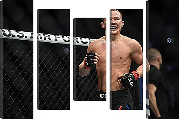 Модульная картина - UFC. MMA. Пётр Ян Модульная картина - UFC. MMA. Пётр Ян