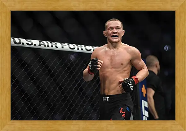 Картина в раме - UFC. MMA. Пётр Ян Картина в раме - UFC. MMA. Пётр Ян