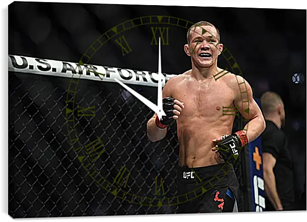 Часы картина - UFC. MMA. Пётр Ян Часы картина - UFC. MMA. Пётр Ян