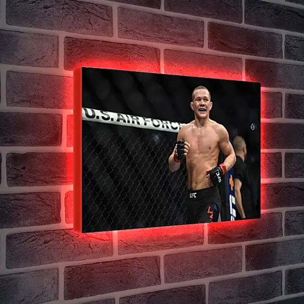 Лайтбокс световая панель - UFC. MMA. Пётр Ян Лайтбокс световая панель - UFC. MMA. Пётр Ян