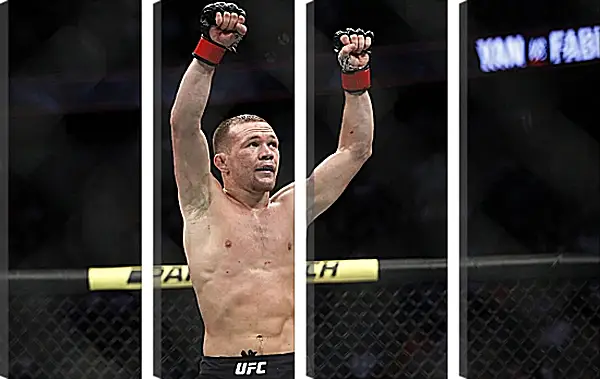 Модульная картина - UFC. MMA. Пётр Ян Модульная картина - UFC. MMA. Пётр Ян