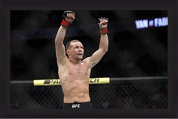 Картина в раме - UFC. MMA. Пётр Ян Картина в раме - UFC. MMA. Пётр Ян