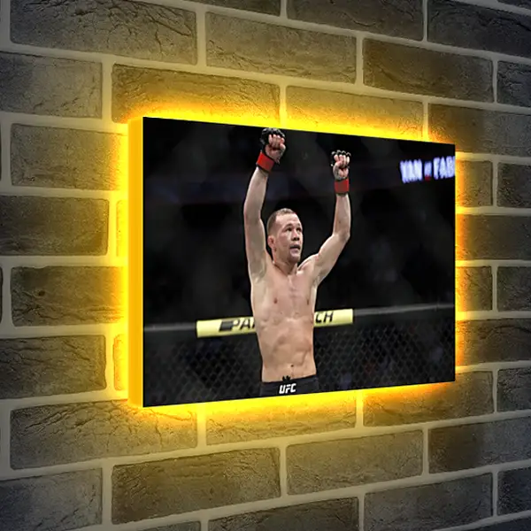 Лайтбокс световая панель - UFC. MMA. Пётр Ян Лайтбокс световая панель - UFC. MMA. Пётр Ян