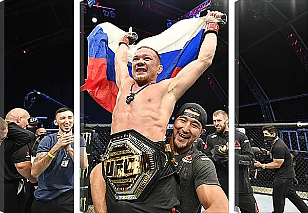 Модульная картина - UFC. MMA. Пётр Ян Модульная картина - UFC. MMA. Пётр Ян