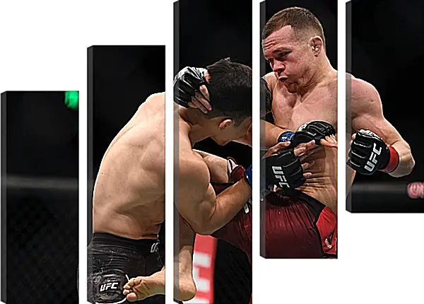 Модульная картина - UFC. MMA. Пётр Ян Модульная картина - UFC. MMA. Пётр Ян