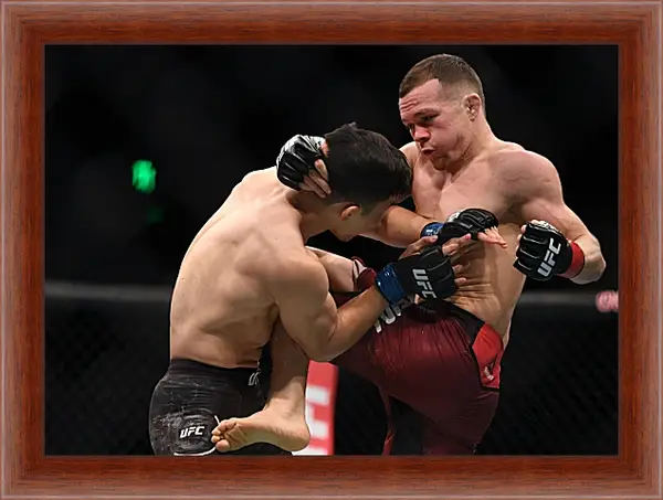 Картина в раме - UFC. MMA. Пётр Ян Картина в раме - UFC. MMA. Пётр Ян