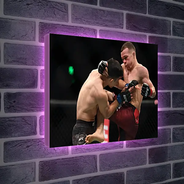 Лайтбокс световая панель - UFC. MMA. Пётр Ян Лайтбокс световая панель - UFC. MMA. Пётр Ян