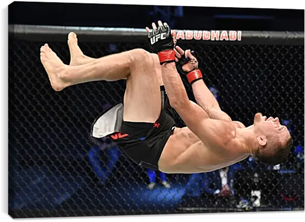 Постер на подрамнике - UFC. MMA. Пётр Ян Постер на подрамнике - UFC. MMA. Пётр Ян