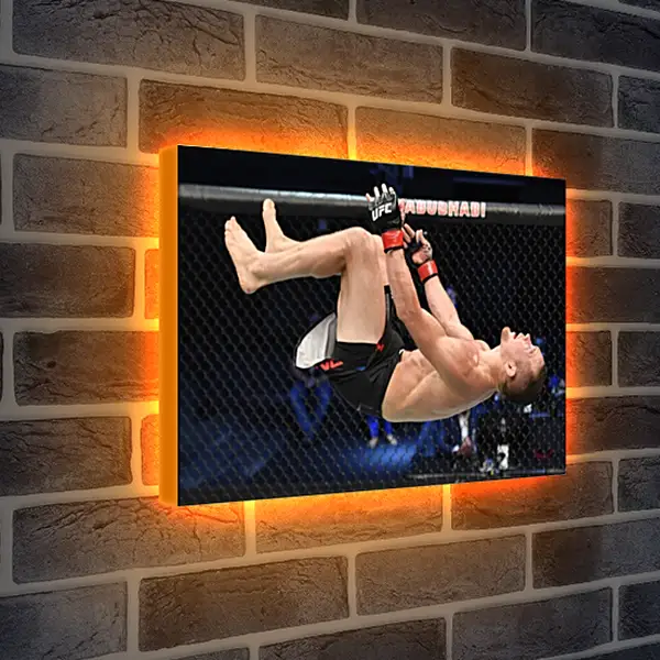 Лайтбокс световая панель - UFC. MMA. Пётр Ян Лайтбокс световая панель - UFC. MMA. Пётр Ян