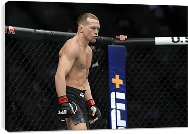 Постер на подрамнике - UFC. MMA. Пётр Ян Постер на подрамнике - UFC. MMA. Пётр Ян
