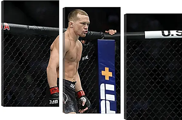 Модульная картина - UFC. MMA. Пётр Ян Модульная картина - UFC. MMA. Пётр Ян