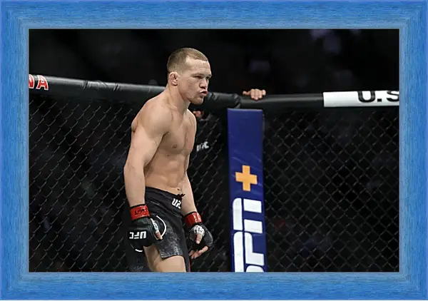 Картина в раме - UFC. MMA. Пётр Ян Картина в раме - UFC. MMA. Пётр Ян