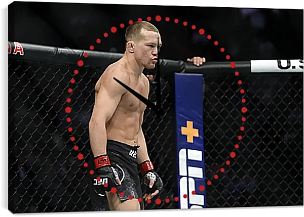 Часы картина - UFC. MMA. Пётр Ян Часы картина - UFC. MMA. Пётр Ян