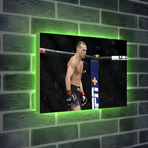Лайтбокс световая панель - UFC. MMA. Пётр Ян Лайтбокс световая панель - UFC. MMA. Пётр Ян