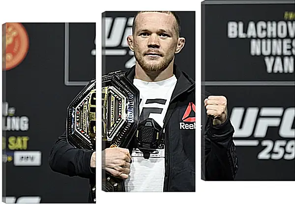 Модульная картина - UFC. MMA. Пётр Ян Модульная картина - UFC. MMA. Пётр Ян