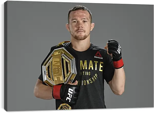 Постер на подрамнике - UFC. MMA. Пётр Ян Постер на подрамнике - UFC. MMA. Пётр Ян